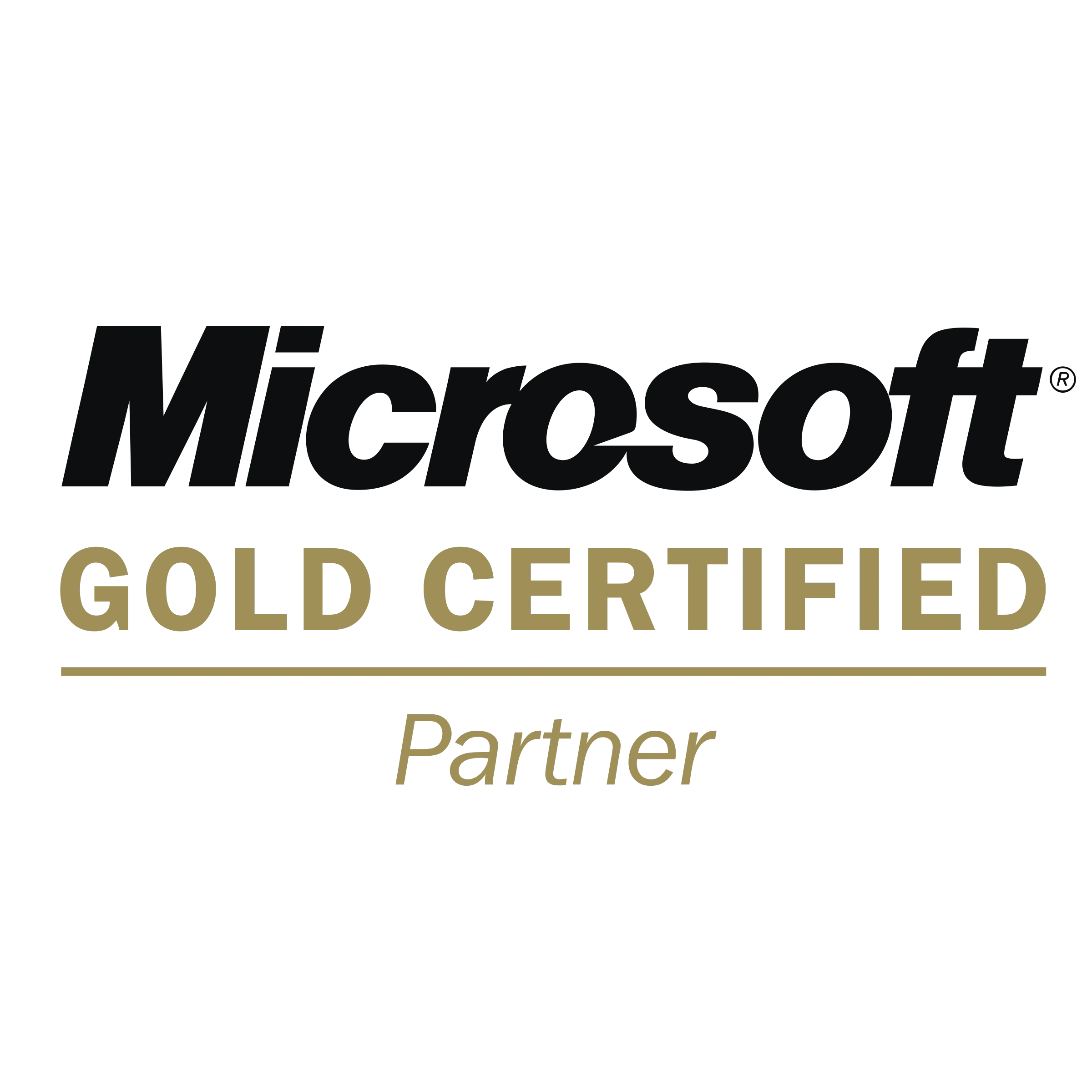 MS Gold Partner